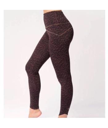 LEGGING LEOBROWN une grave pollution 