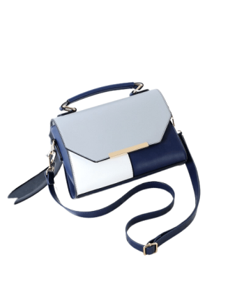 Petit Sac à Main Rigide Femme - FashionBag acheter en ligne