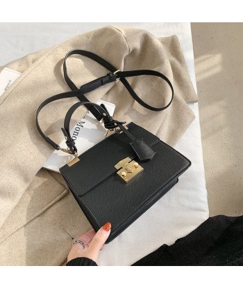 Mini Sac Bandoulière Femme Tendance - Style Chic 2024